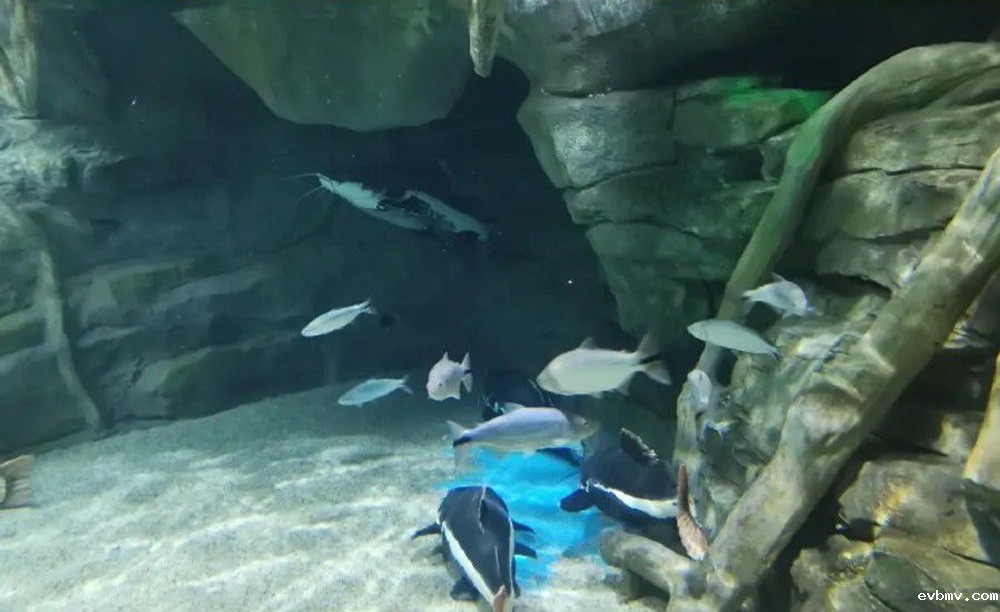 如何解决海洋馆空气潮湿问题？