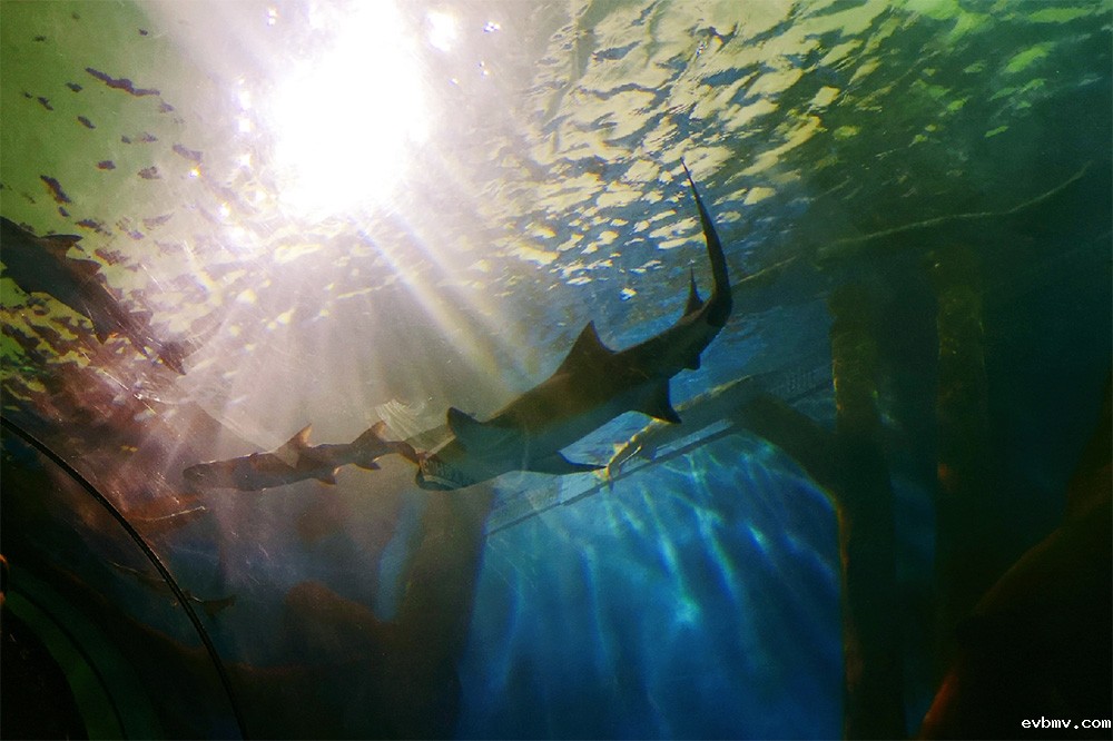 海洋馆空气潮湿