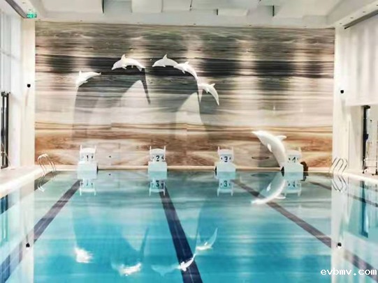 泳池需要不需要除湿机，安装除湿机的好处？