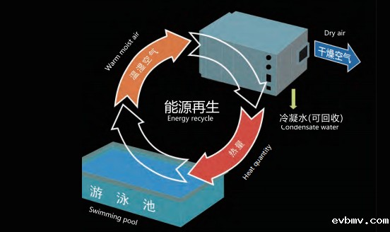 恒温泳池设备,室内泳池加热设备