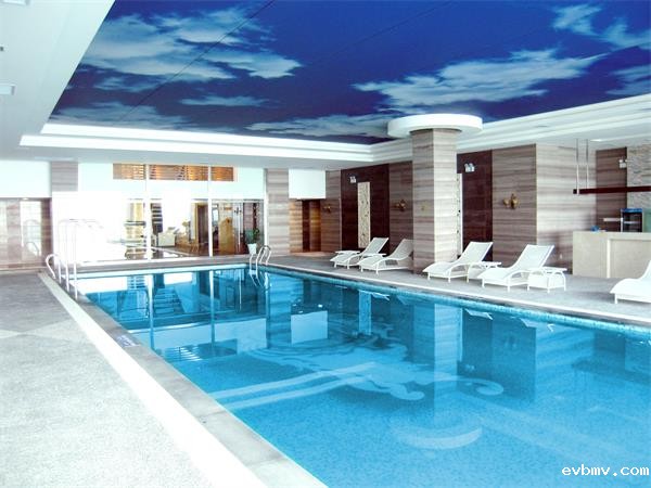 揭秘泳池专用除湿机的重要性, 智慧守护，打造舒适室内泳池环境!