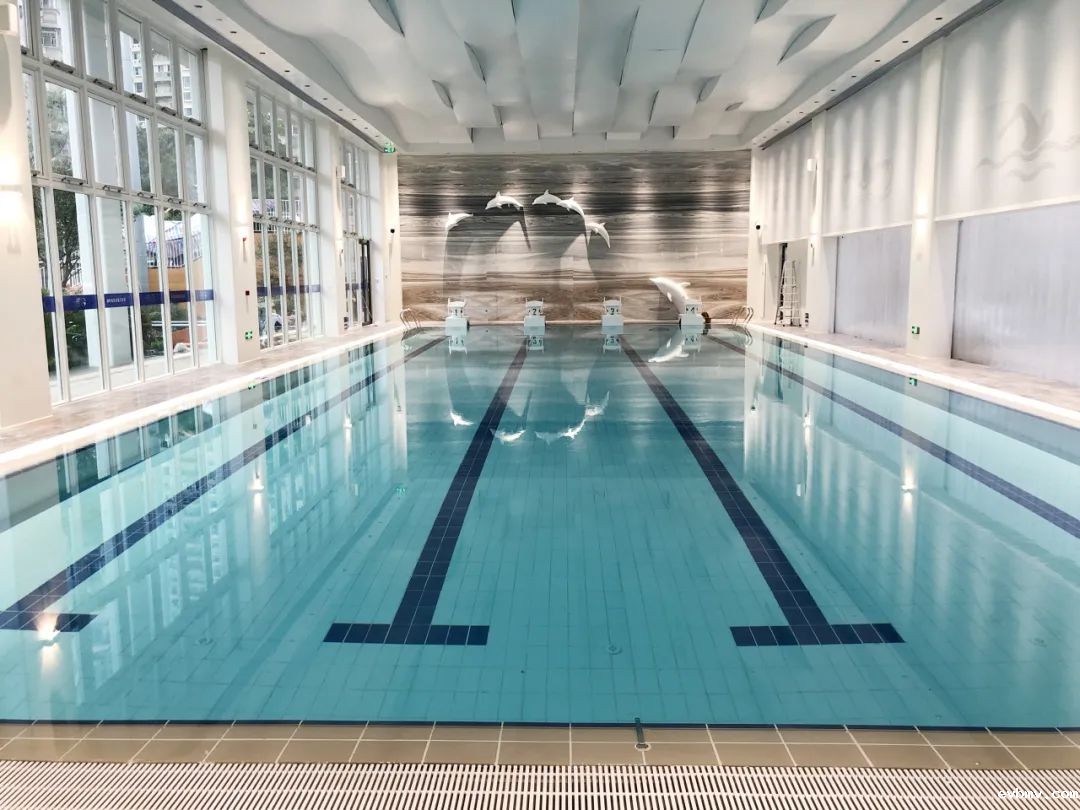 室内游泳池专用除湿机,游泳池除湿机,室内恒温游泳池