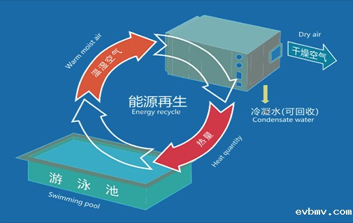 泳池除湿机厂家
