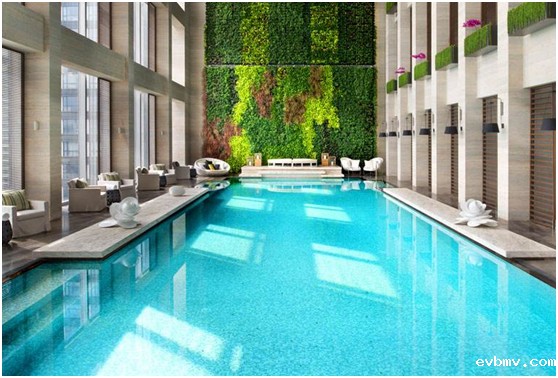 游泳池专用除湿机,游泳馆除湿机,泳池除湿机