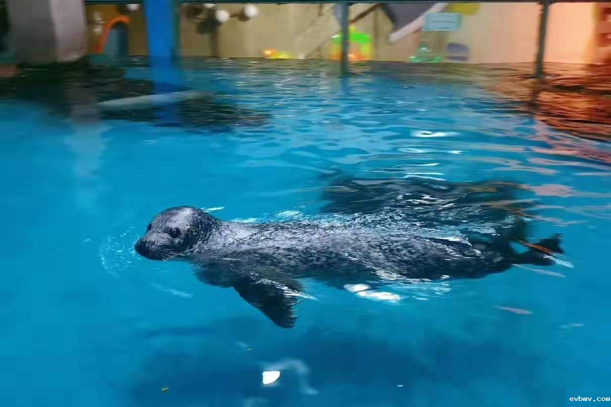 游洋馆除湿机,海洋馆安装除湿机,除湿机