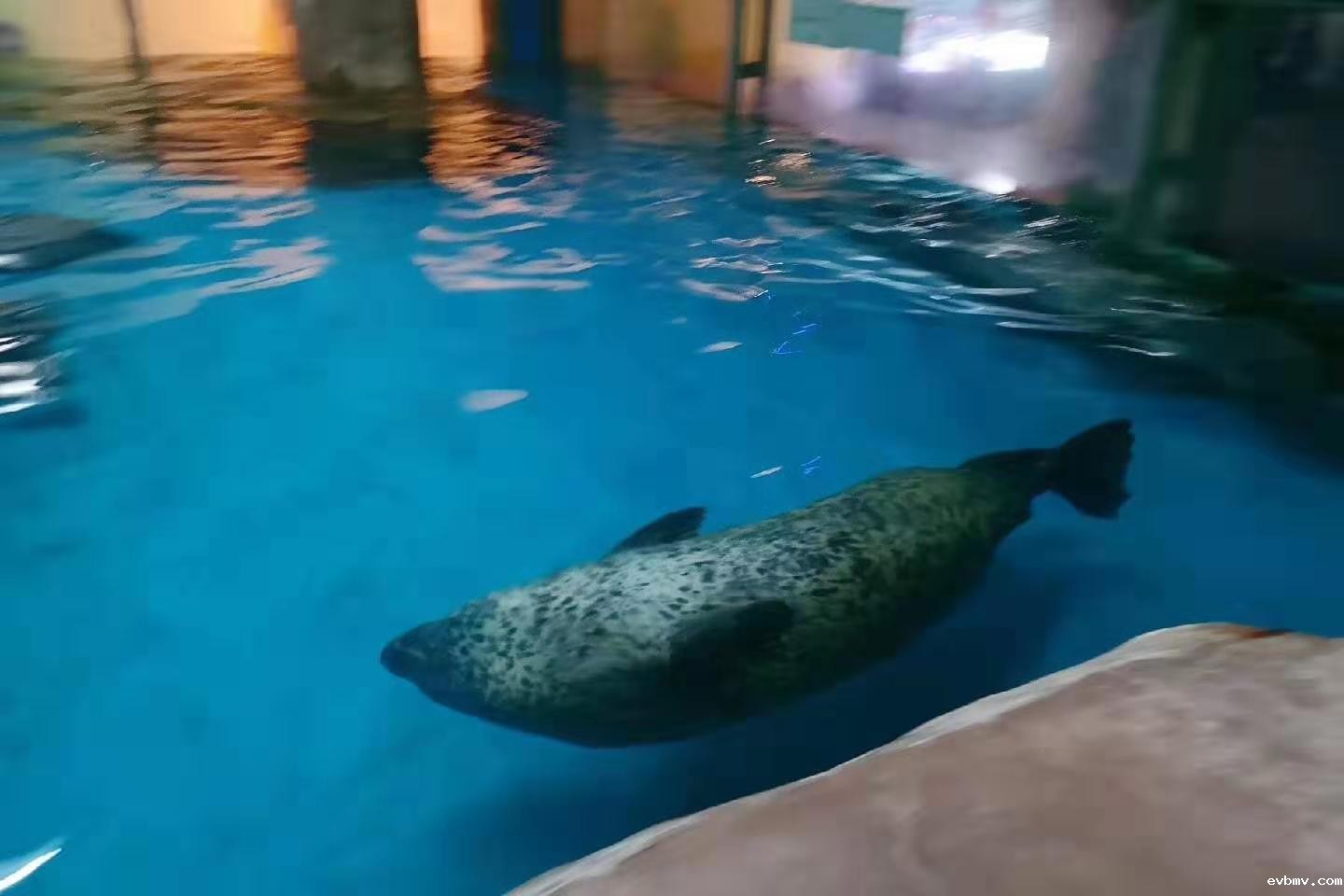 游洋馆除湿机,海洋馆安装除湿机,除湿机