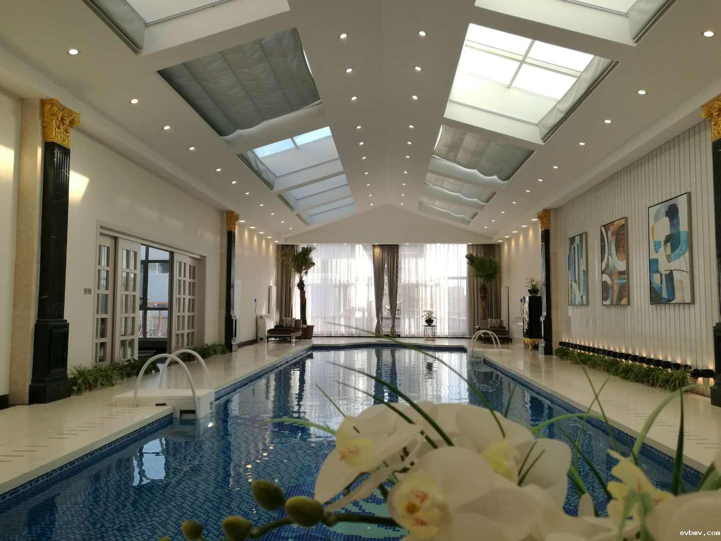 伟德网页版下载教程视频室内游泳池除湿机有什么特点？