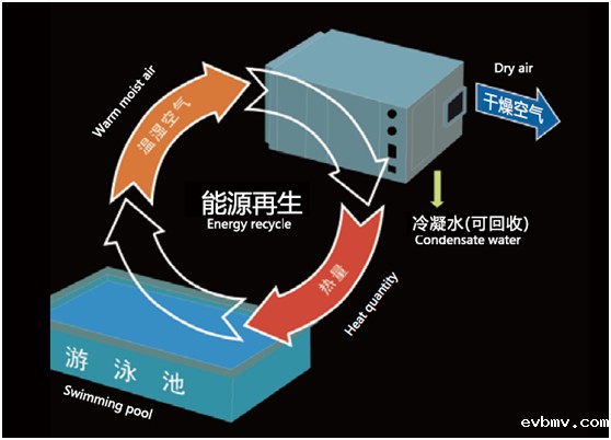 游泳池专用热泵型恒温除湿机原理